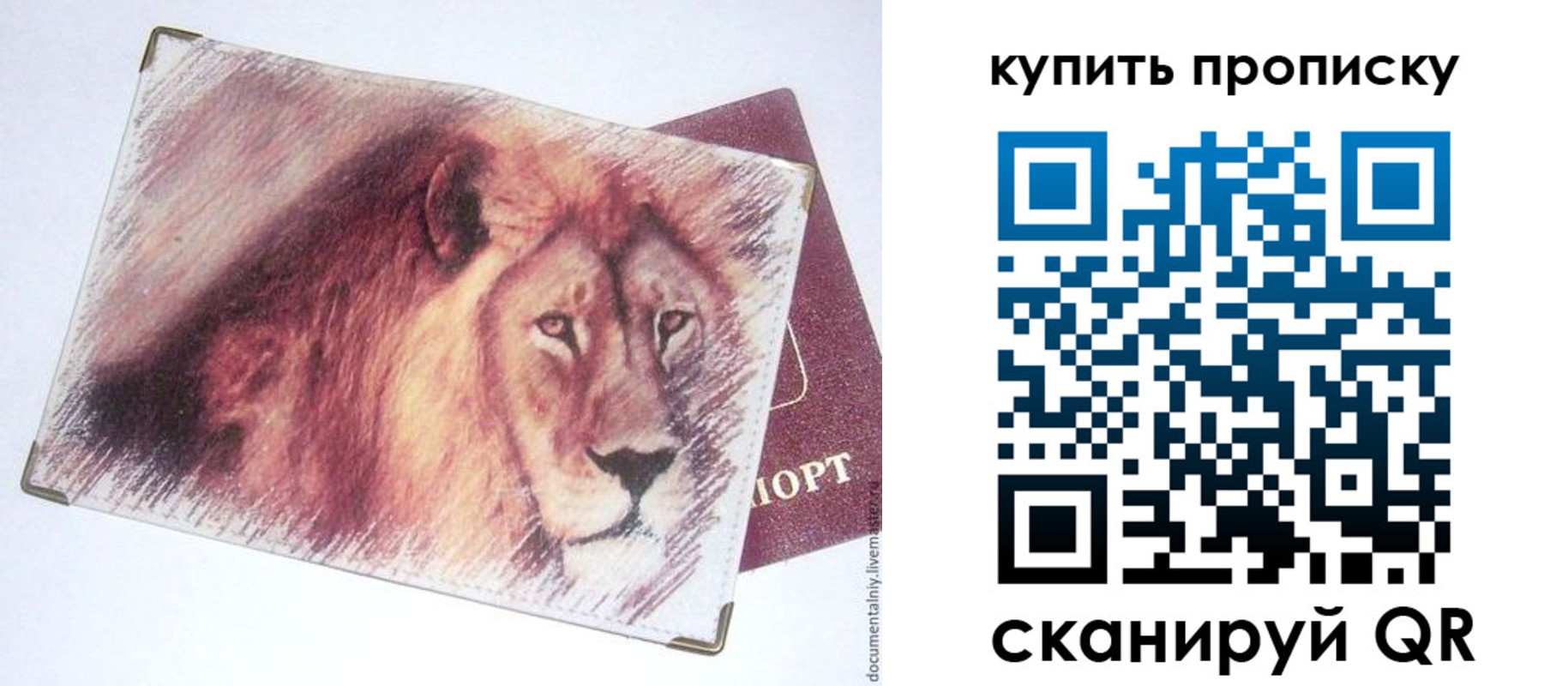 прописка паспорт в Камешково