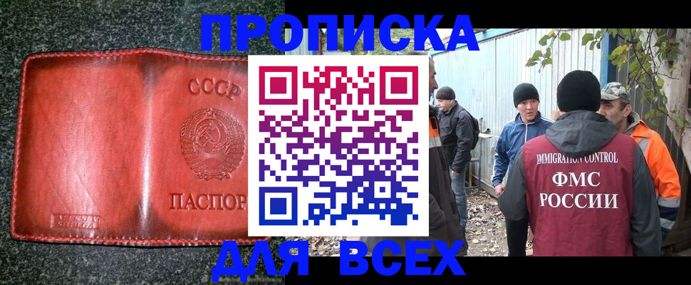 временная регистрация поиск в Камешково